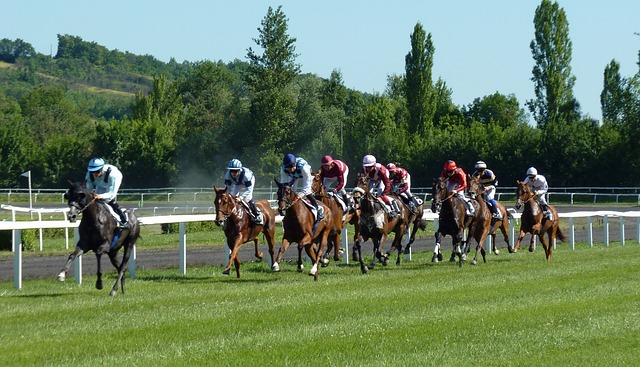 Sharp Bettors