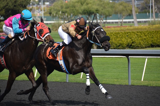 Sharp Bettors